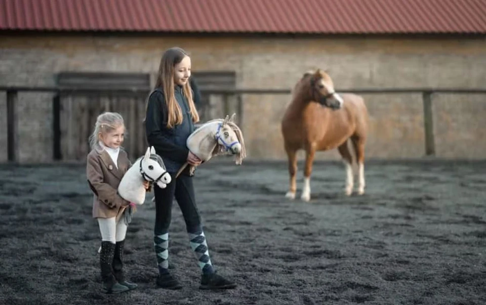 Изображая конные соревнования. Фото: hobby-horse.com