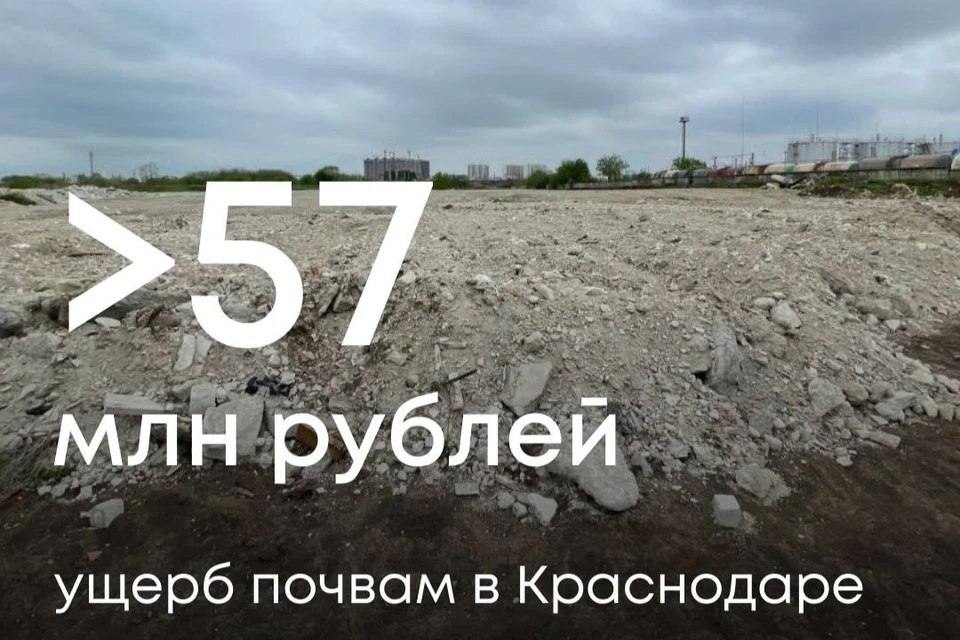Росприроднадзор будет добиваться возмещения ущерба через суд Фото: t.me/Rosprirodnadzor_official