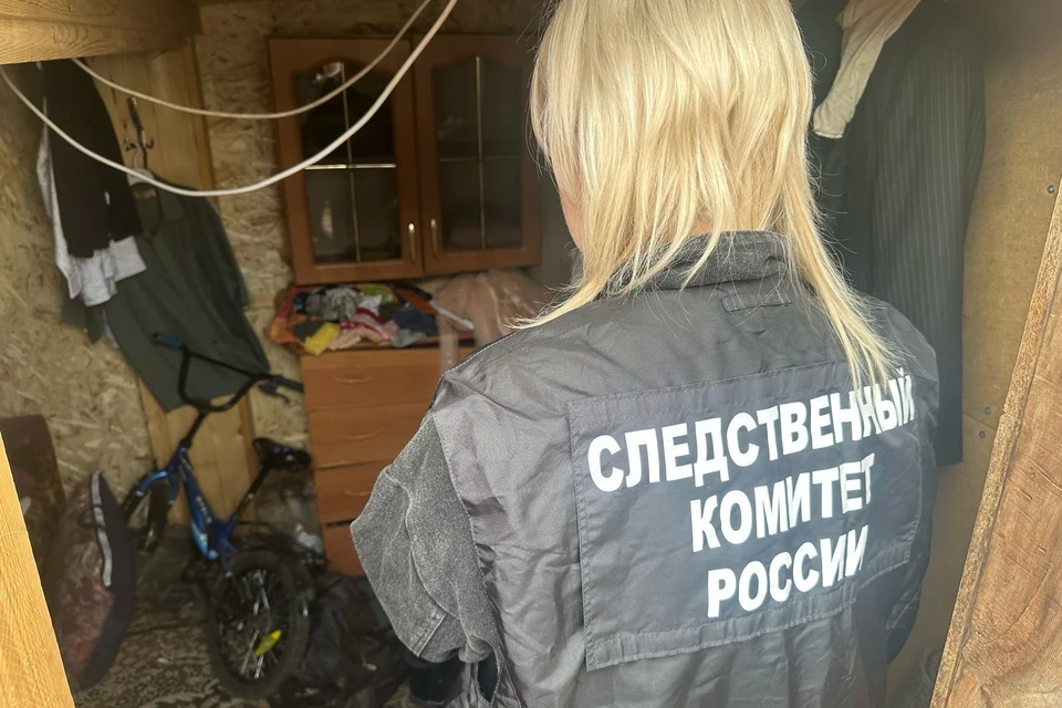Фото: ГСУ СК России по Красноярскому краю и Республике Хакасия