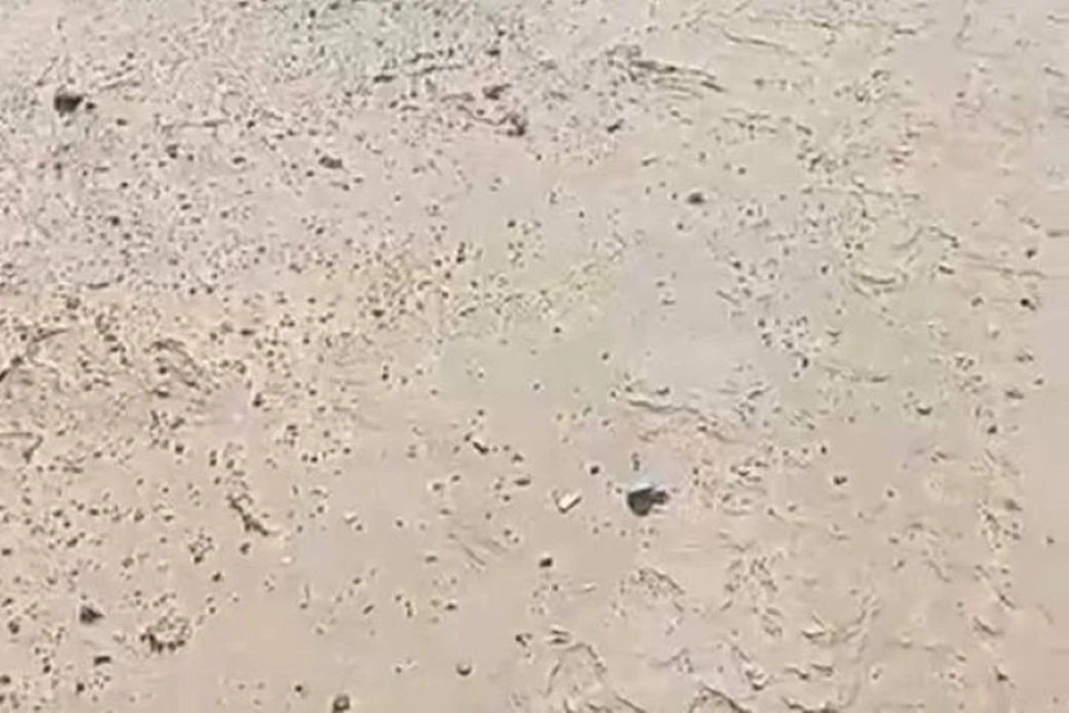 Фото: скриншот видео оперштаба Кубани