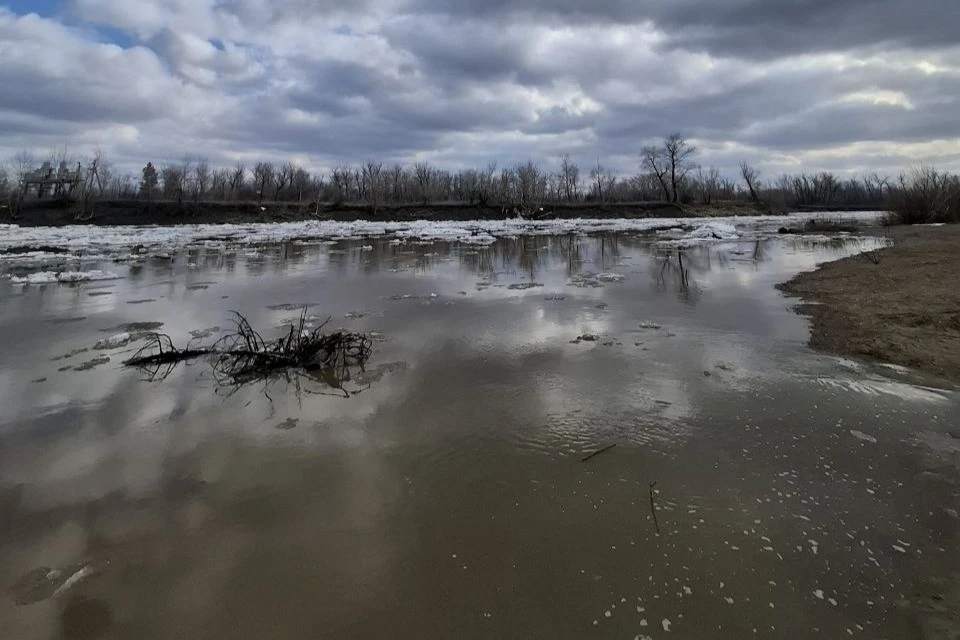На реках региона преимущественно идет понижение уровней воды.