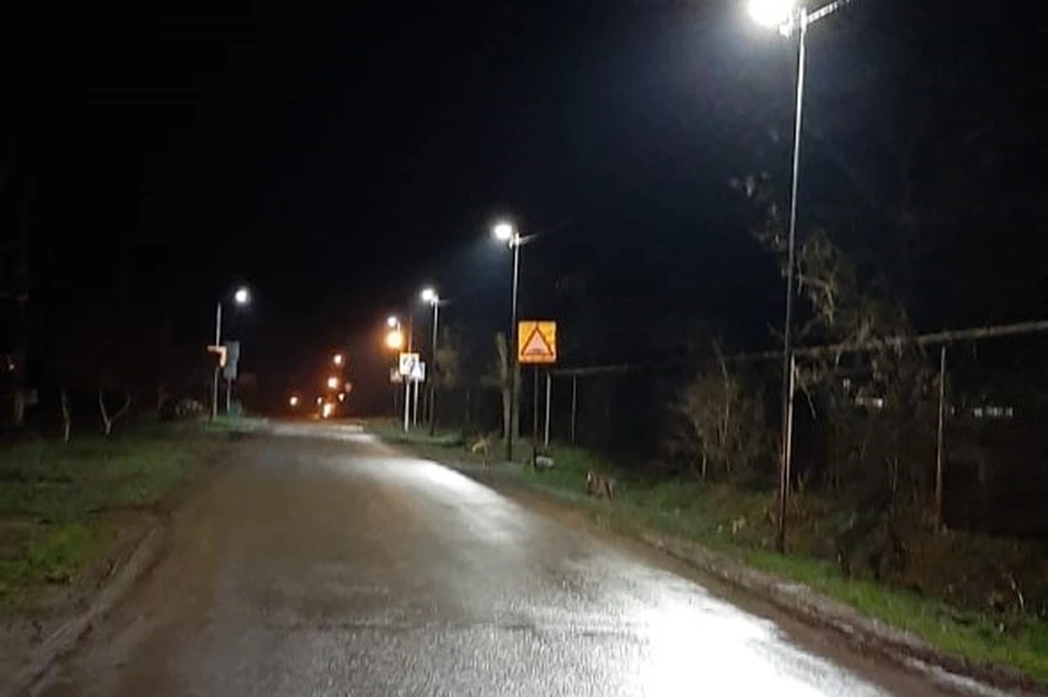 Фото: администрация Советского округа