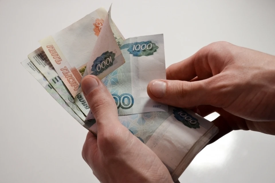 Житель Хабаровска обманул микрофинансовые компании на миллион рублей