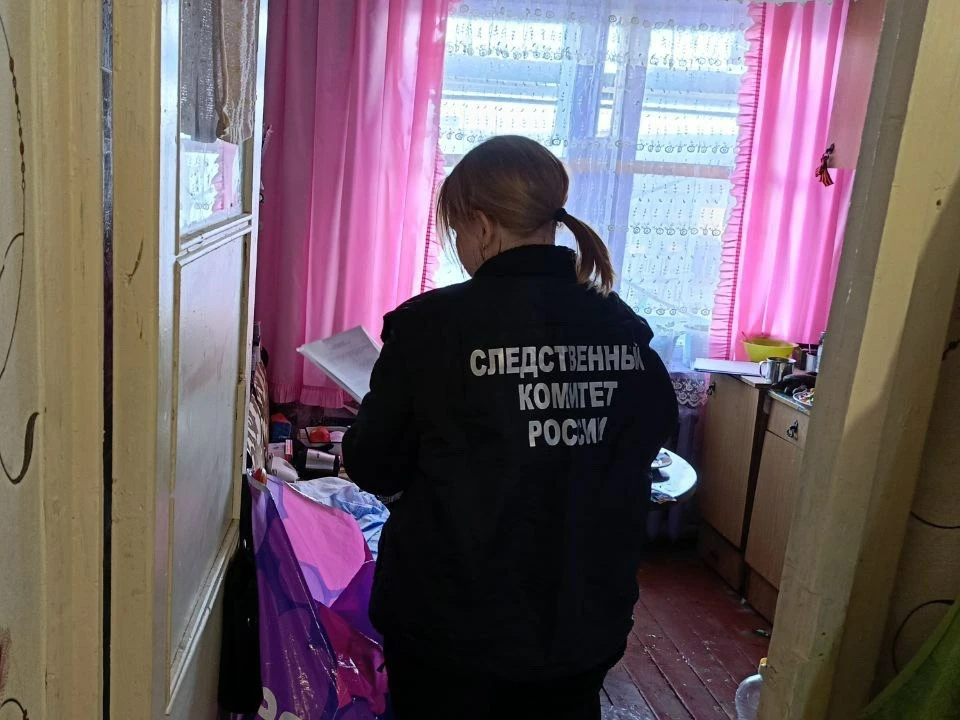 58-летней обвиняемой грозит до 15 лет колонии. Фото: СУ СКР по Мурманской области