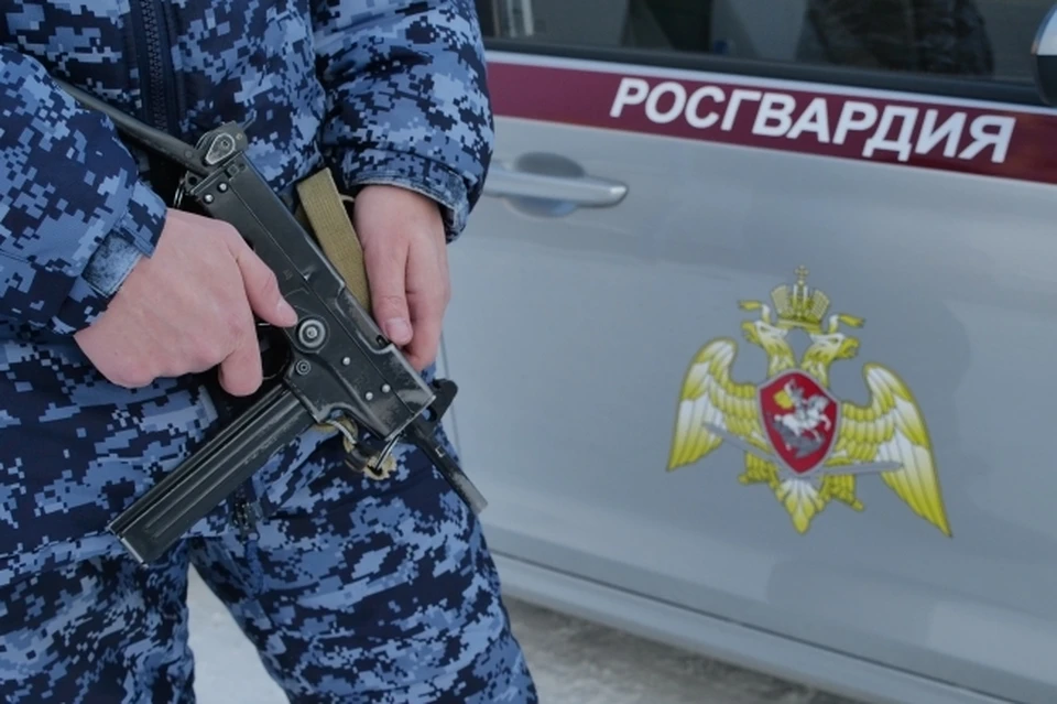 Росгвардия пресекла незаконное использование дрона в Биробиджане