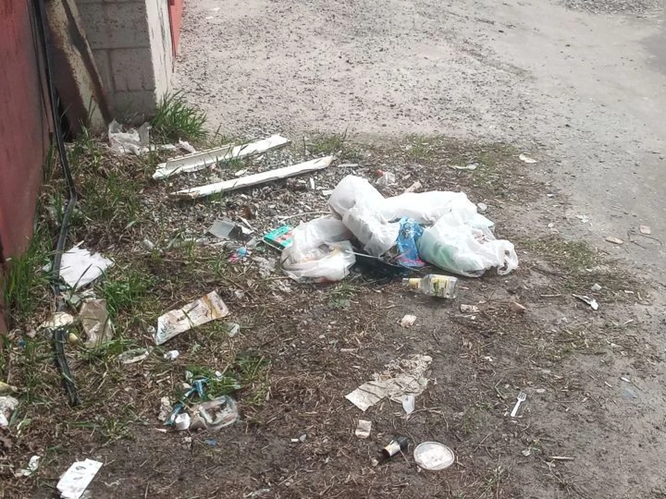 Сумма в платежках - это долг за июль 2024 года, пояснили в Правительстве региона