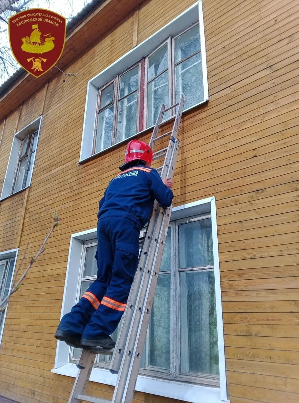 Фото: ОГБУ "ПСС"