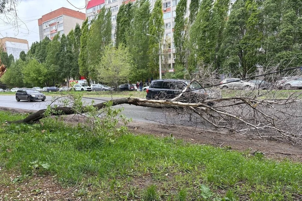 Поваленные деревья заполонили город. Фото: https://t.me/samartop