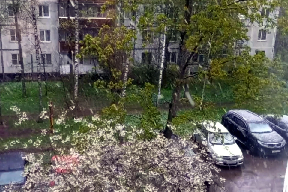 В Тверской области погода не благоволит шашлыкам.