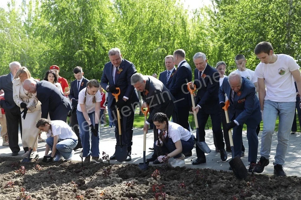 У Мамаева кургана в Волгограде высадили 80 кустов донецких роз. Фото: ТГ/Кулемзин