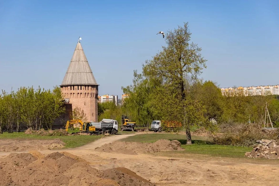 Фото: Александр Новиков