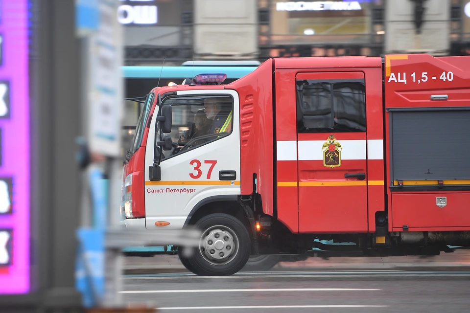 Площадь возгорания составила 1 тысячу квадратных метров.