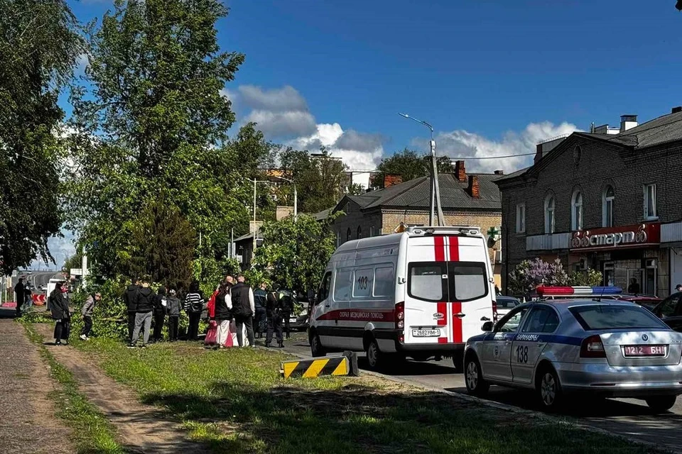 В Барановичах ветер повалил дерево на движущееся авто. Фото: телеграм-канал «Наш край».