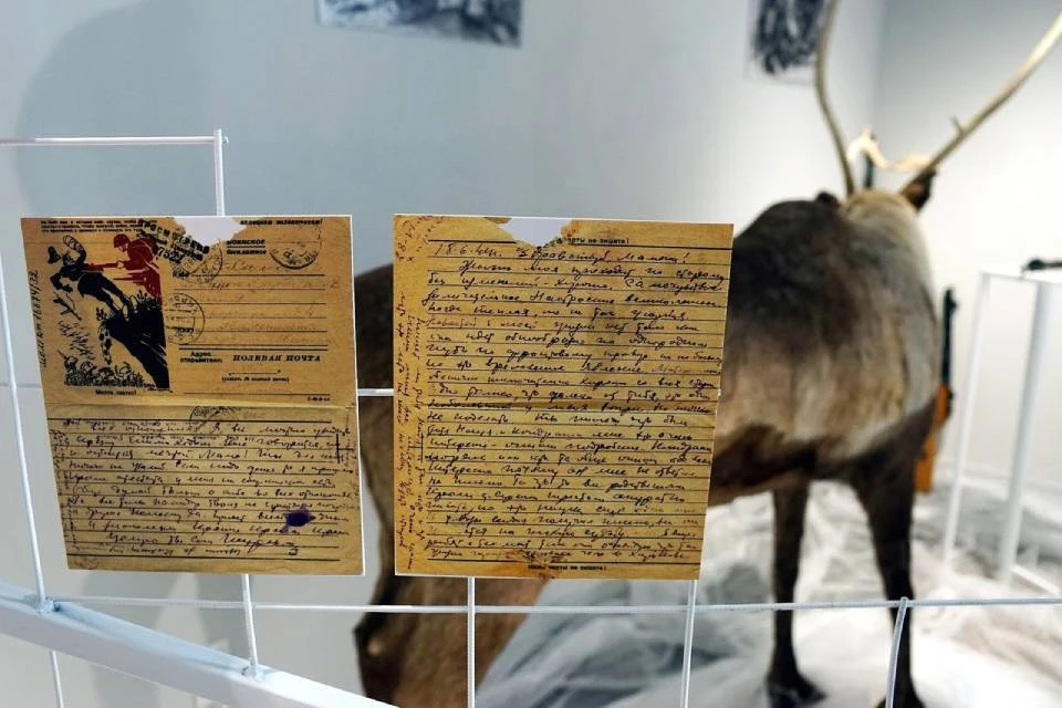 На выставке собраны письма с личными историями бойцов. Фото: Наталия Вересова / АиФ-Мурманск