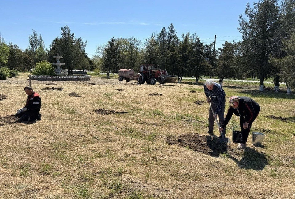 В Чаплинском округе Херсонской области высадили 70 саженцев деревьев. ФОТО: администрация Чаплинского округа