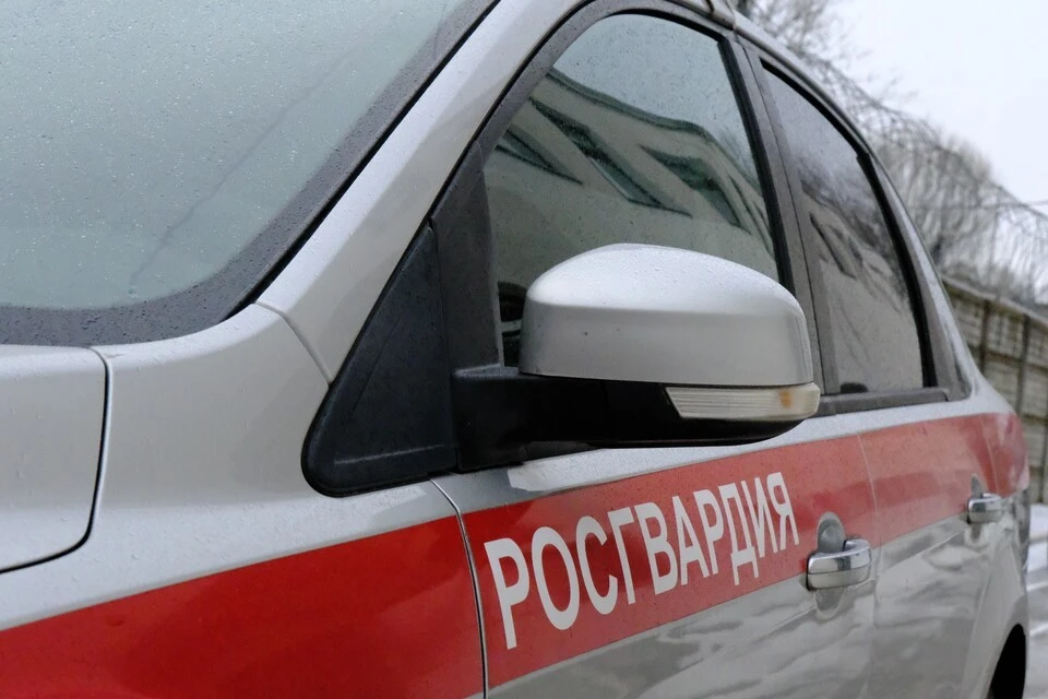 Краж с охраняемых объектов не допущено, порядок на массовых мероприятиях обеспечен. Фото: Росгвардия Тверской области.