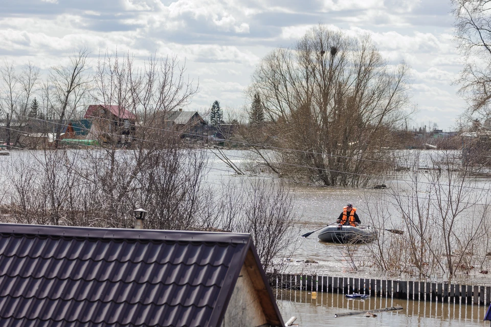 Тематическое фото.