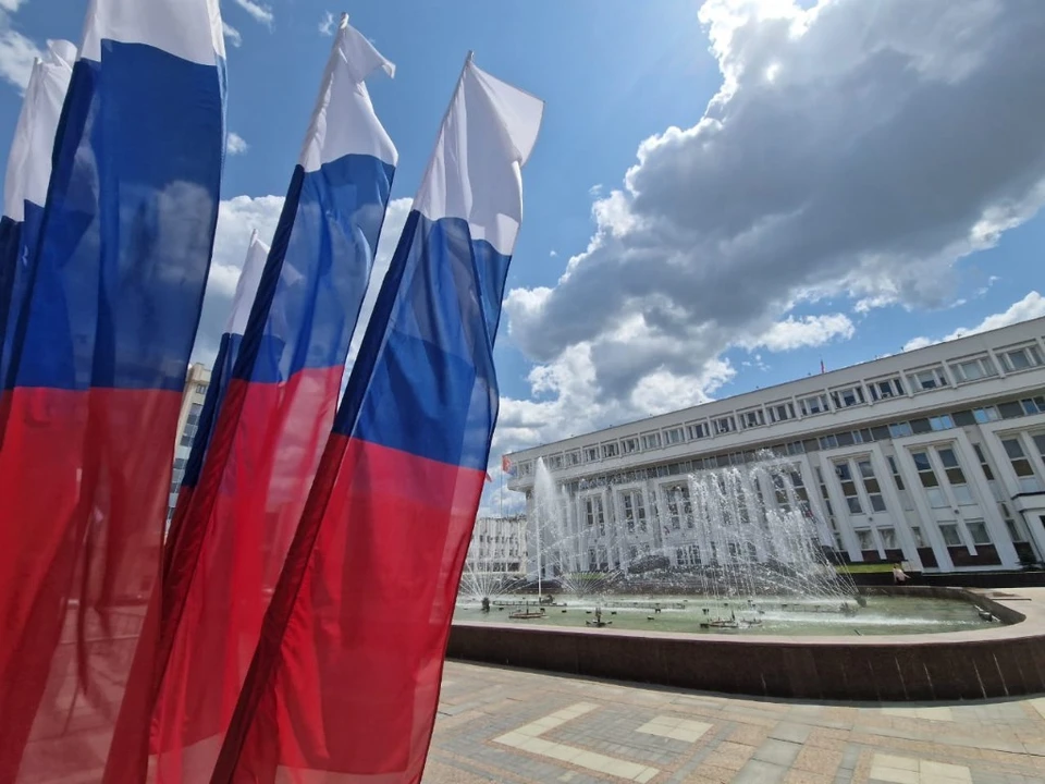 Дорогостоящие участки выделяли псевдоинвесторам