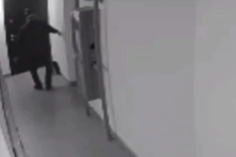 Собаку мужчина пнул трижды. Фото: скриншот видео