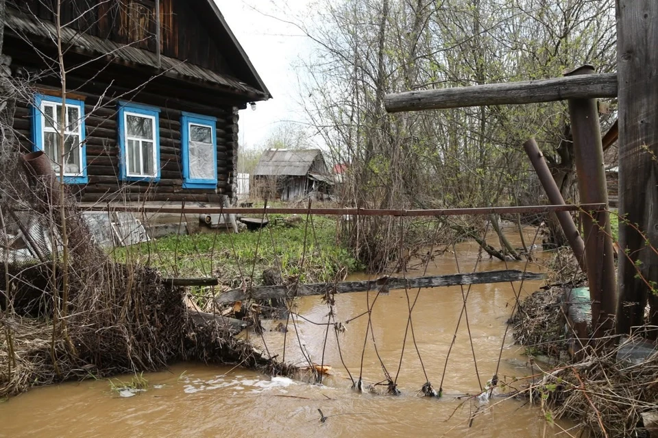 Фото: телеграм-канал Эдуарда Соснина