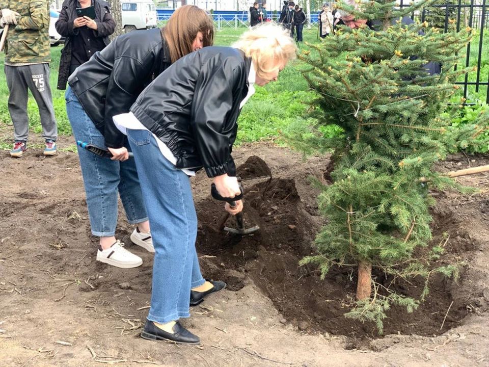 В Ульяновске в поселке Луговое высадили «Сад Победы» | ФОТО: администрация Ульяновска