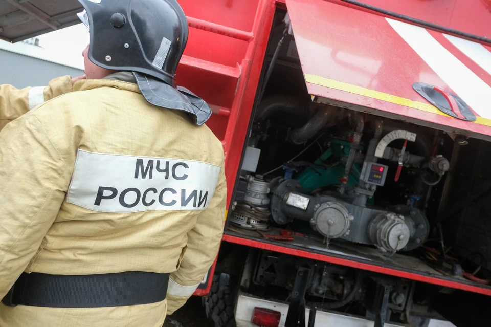 Суд признал женщину виновной в убийстве и уничтожении чужого имущества.