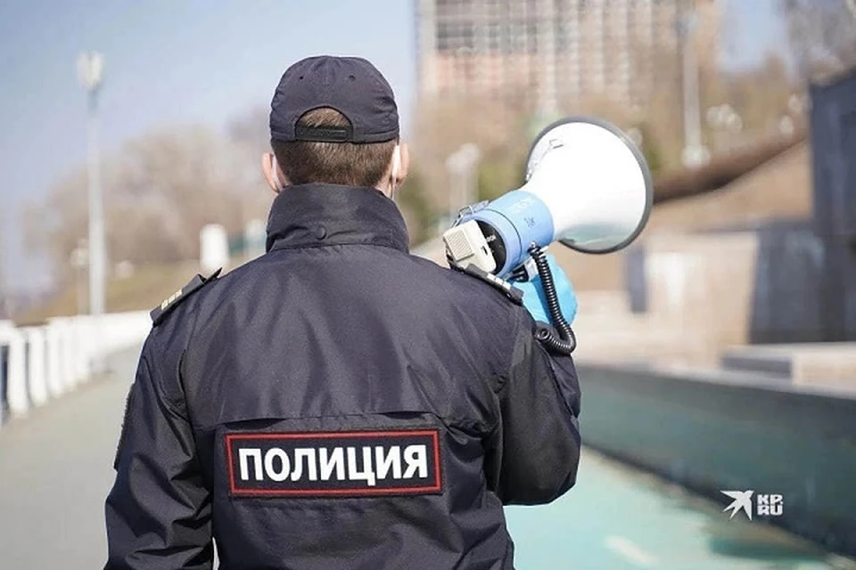 Полиция ищет девочек