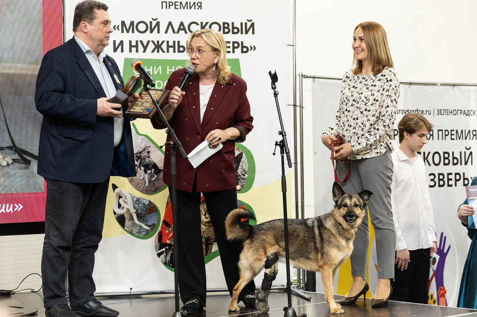 Премии вручили животным и их хозяевам. Фото: Организаторы премии «Мой ласковый и нужный зверь»