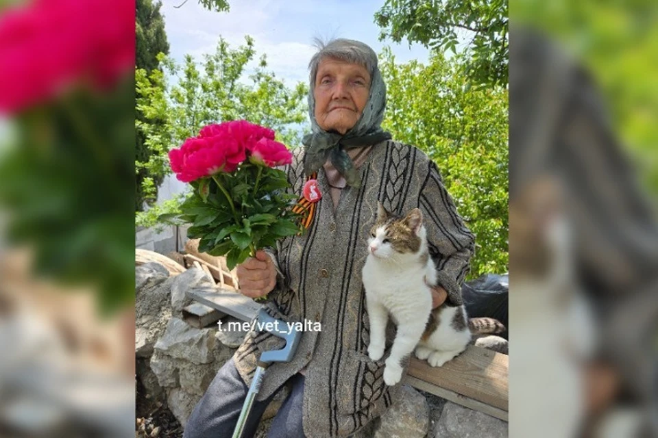 Кошка и ее хозяйка проведали пожилую родственницу. Фото: Ветеринарная помощь Ялта/Tg