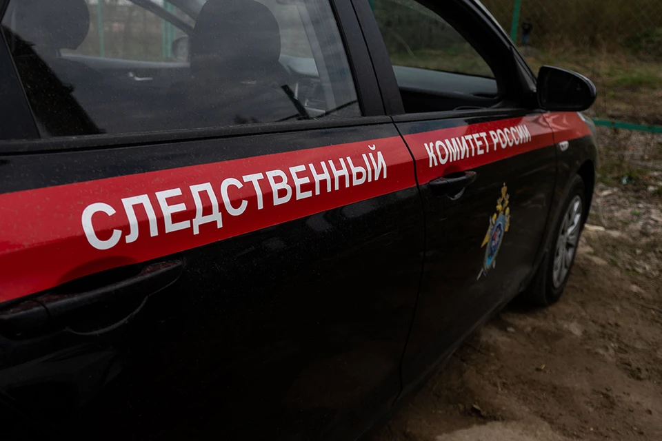 СК проверит таксиста, который отказался везти блокадницу.