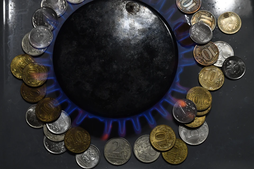 ОПГ на Ставрополье изменяла показание счетчиков и похищала газ