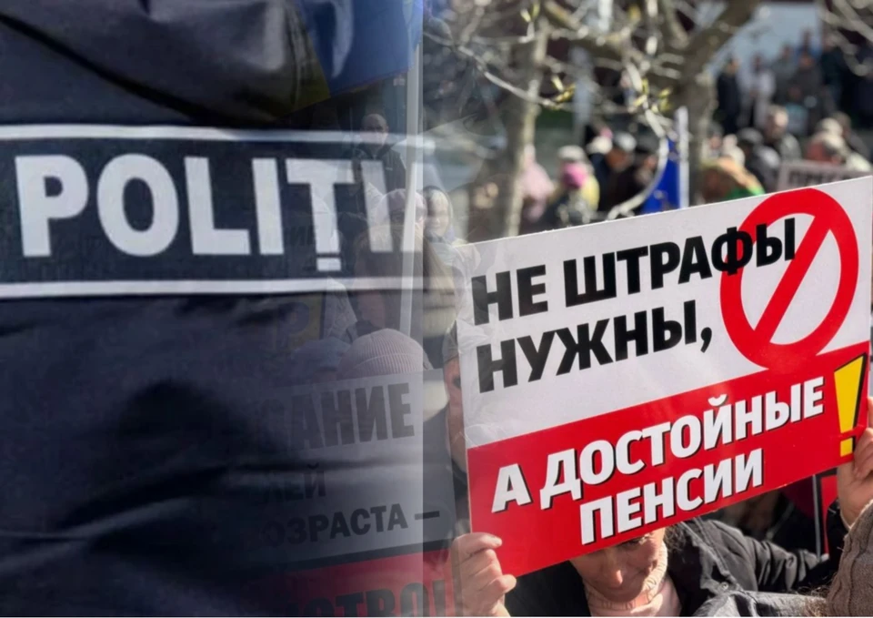 На бедных сельчан участковые составляли протоколы. Фото: коллаж КП