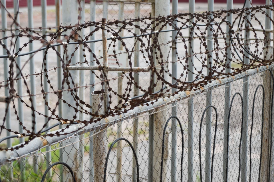Пособника украинских террористов отправили в СИЗО в Петербурге.