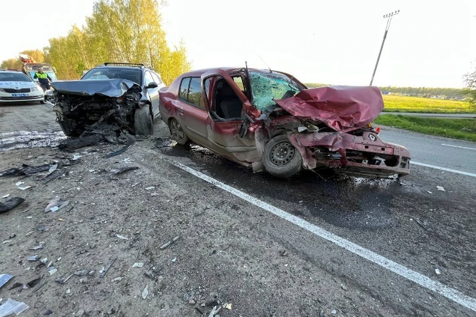 Водитель автомобиля Renault умер в больнице. Фото: Госавтоинспекция Удмуртии