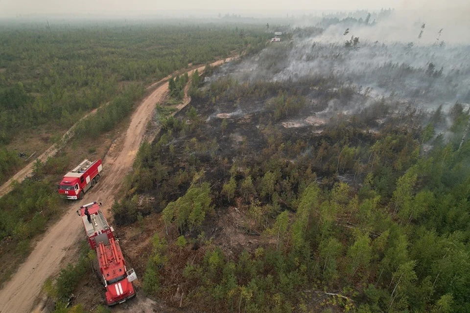 Спокойнее всего обстановка с лесными пожарами в Магаданской области.