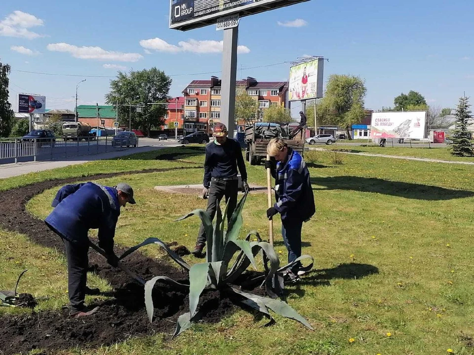 В холодное время экзотические растения находились в теплицах. Фото Городской центр по благоустройству и озеленению Ульяновска
