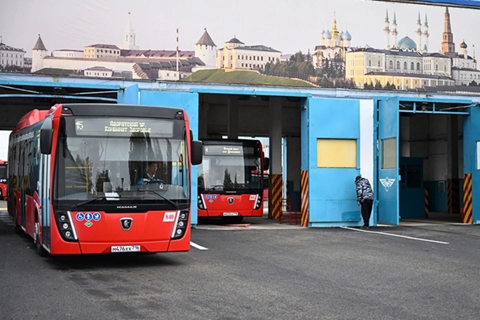 Подготовить план, состоящий из трех разделов, нужно к концу ноября 2025 года.