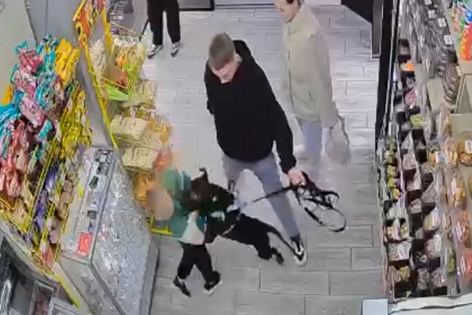 Фото: скриншот видео