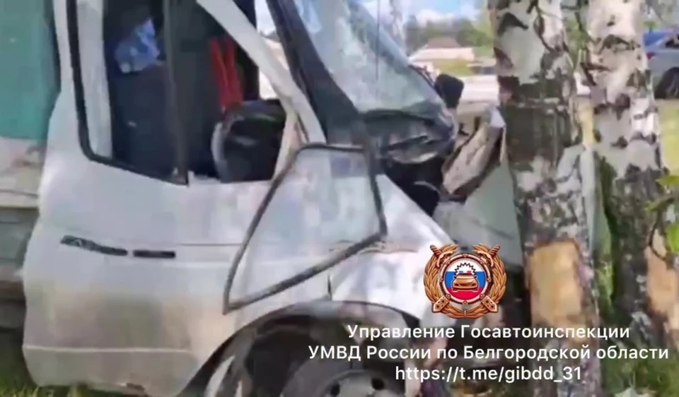Фото Госавтоинспекции Белгородской области