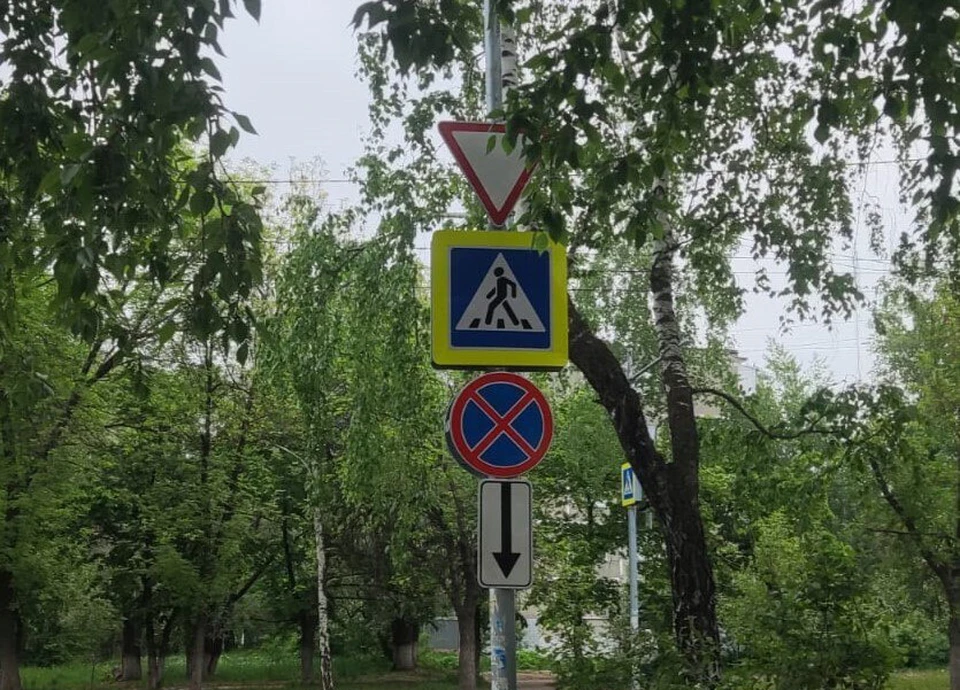 В Ульяновске на улице Ефимочкина установили запрещающие остановку знаки | ФОТО: телеграм-канал МБУ «Правый берег»