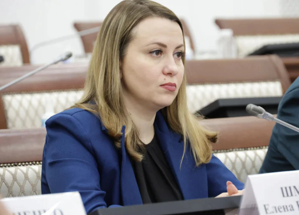 Елена Шмелева может возглавить в Тульской области Центр «Герой 71»