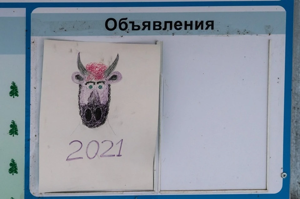 Оперативники спустя полгода после преступления установили личность злоумышленника