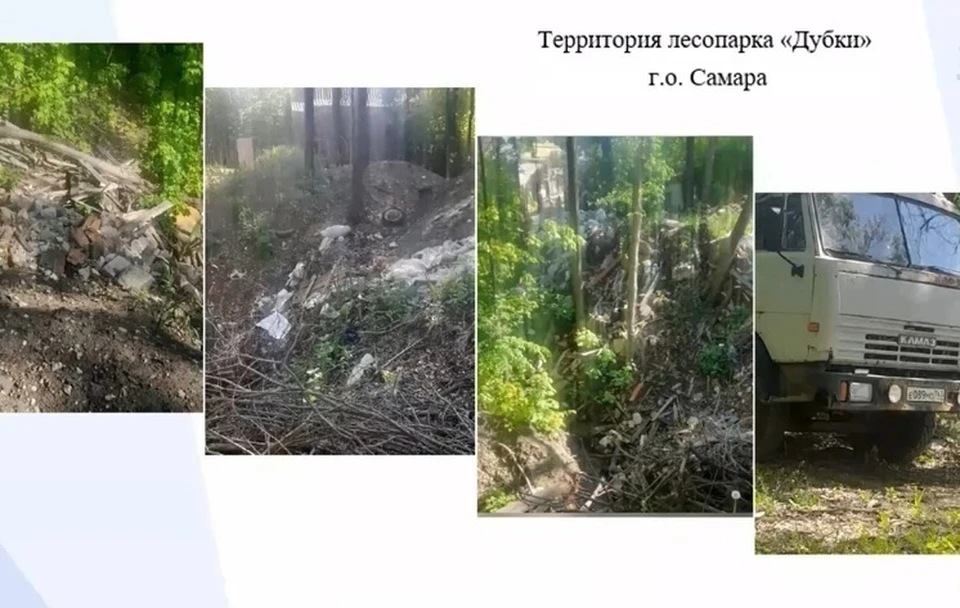 Найти того, кто сбрасывал мусор в лесопарке, планируют до конца этой недели