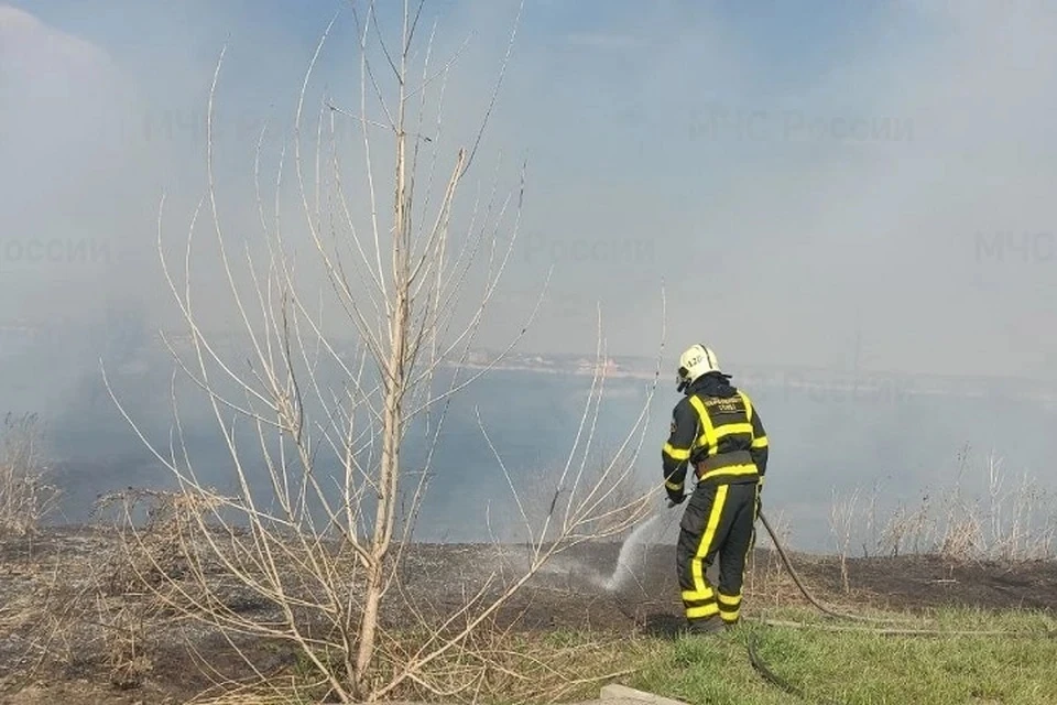 В апреле огонь, начавшийся в поле с камышом, едва не перекинулся на детский сад в Южном городе