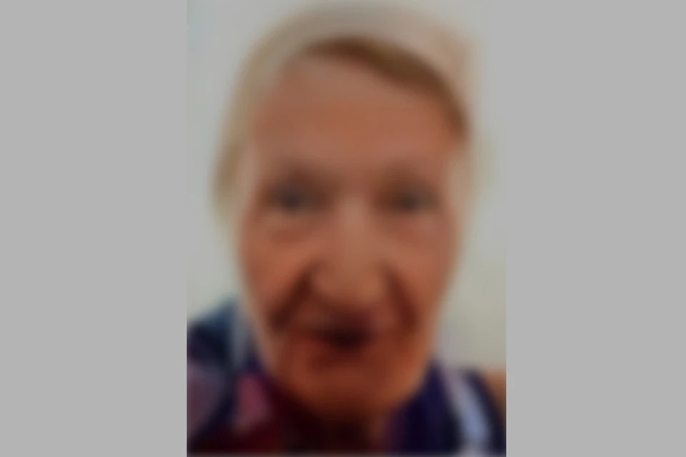 В Новосибирске пропала 81-летняя пенсионерка с коричневым пледом. Фото: ДПСО «ЛизаАлерт» по Новосибирской области