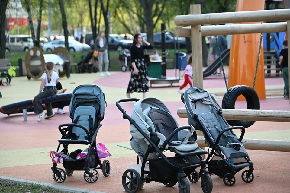 В ДНР в День защиты детей проведут парад колясок