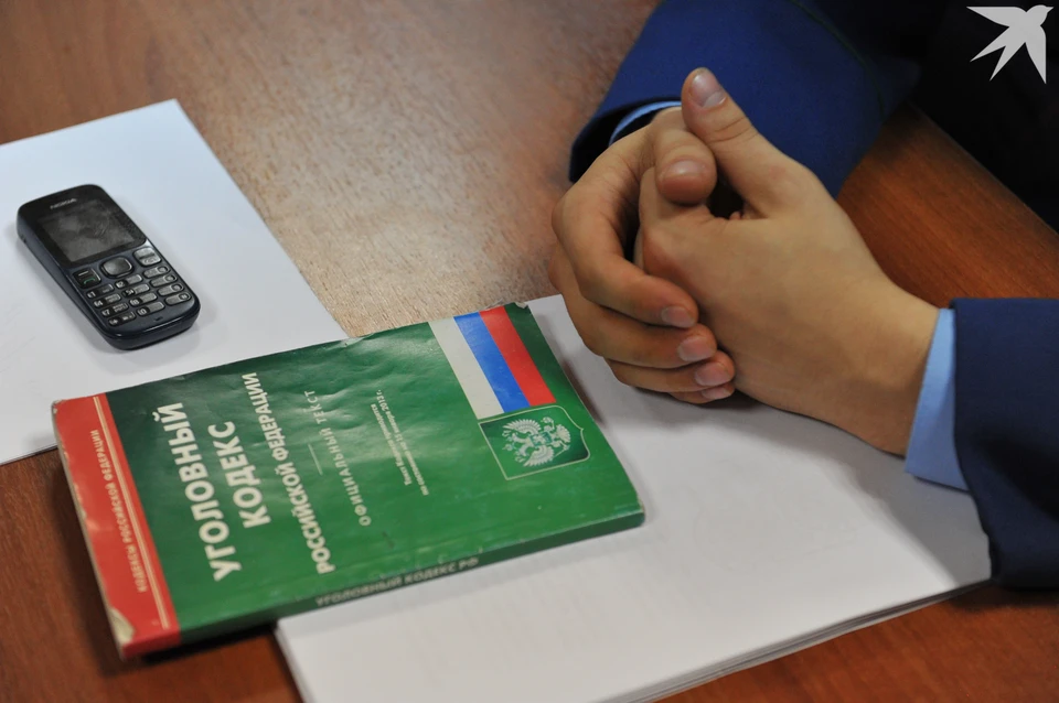 Северянина отправят на принудительное лечение.