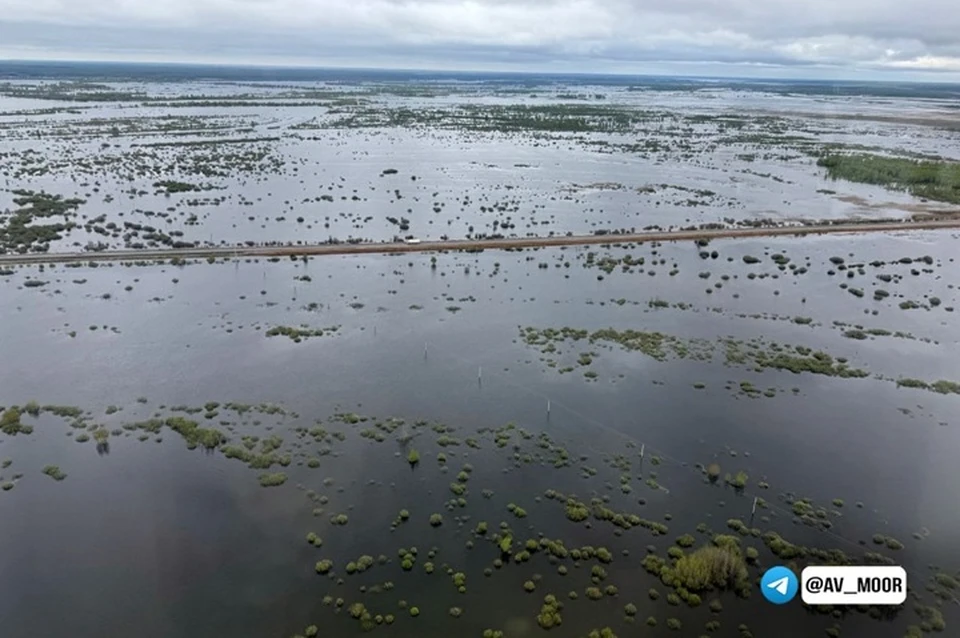 Фото: тгк-канал Александра Моора
