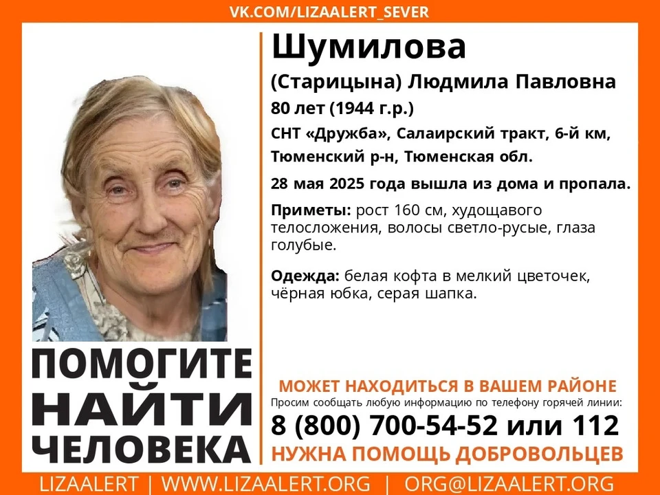 Фото: «ЛизаАлерт»