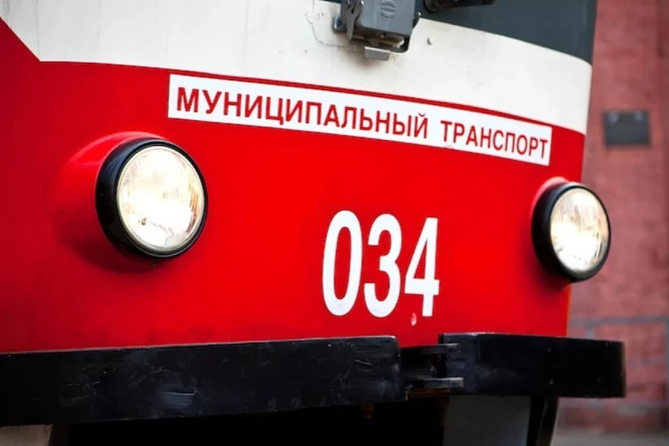 Фото: пресс-службы администрации Краснодара